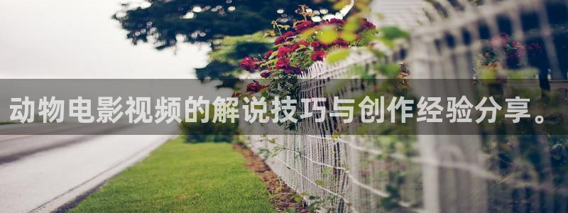 沉香如屑电视剧免费观看星空影院