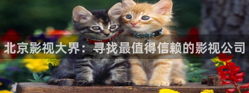 长相思星空影院