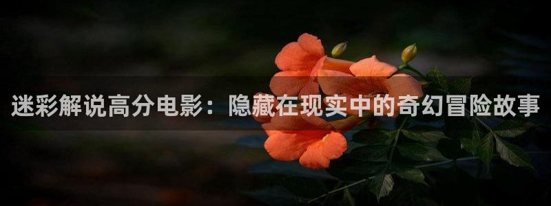 请叫我总监星空影院