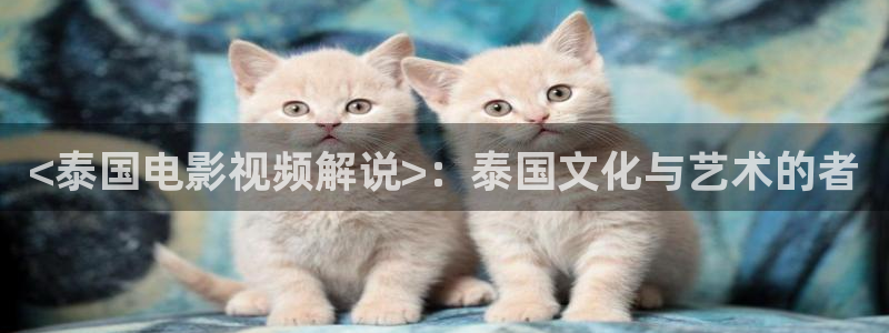 杀戮天使星空影院