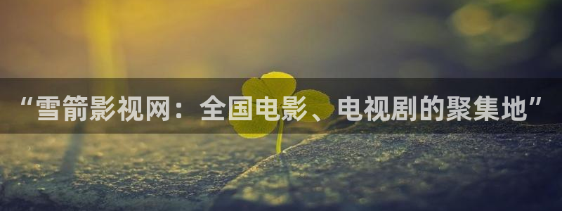 免费观看电视剧星空影视