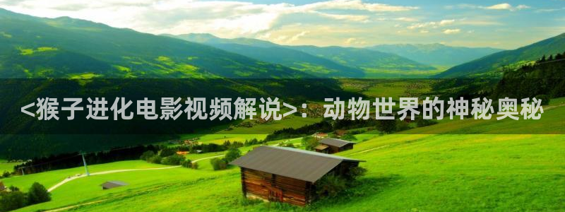 星空影视大全电视剧免费播放在线