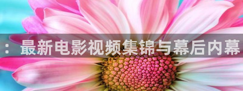 新闻图片
