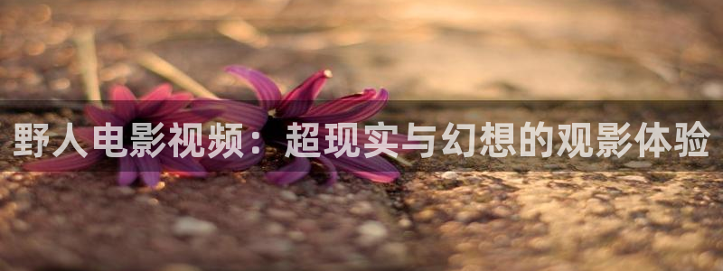 新闻图片