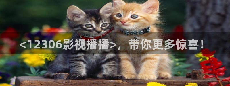 星空影院在线播放观看视频